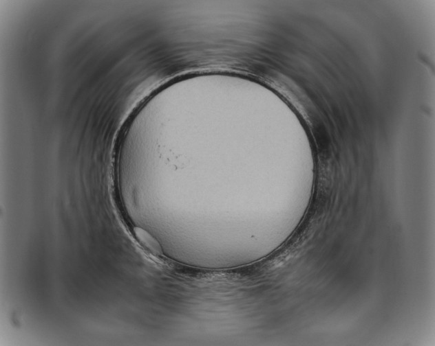 X0000097001093200802291141