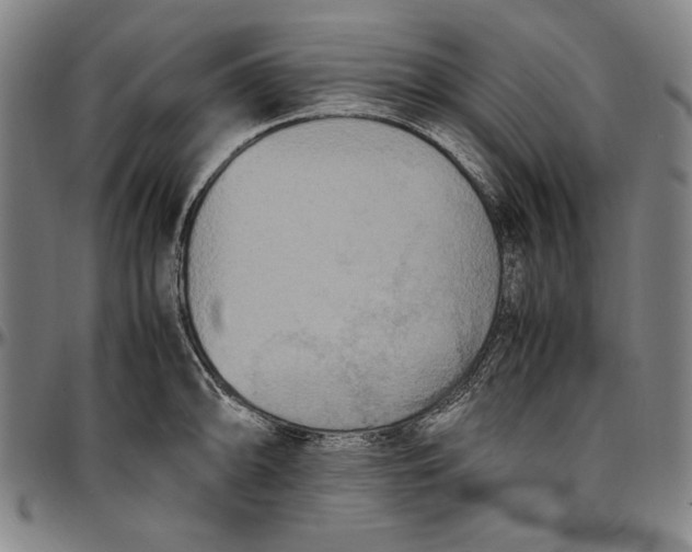 X0000097001094200802291141