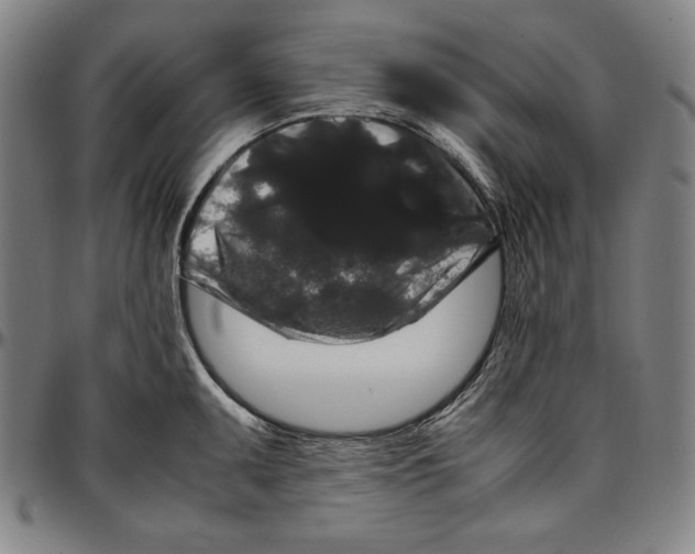 X0000097001095200802291141