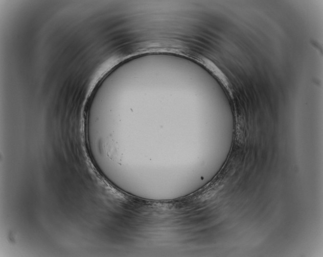 X0000097001096200802291141