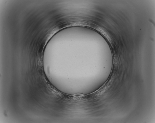 X0000097001097200802291141