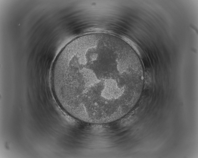 X0000097001098200802291141