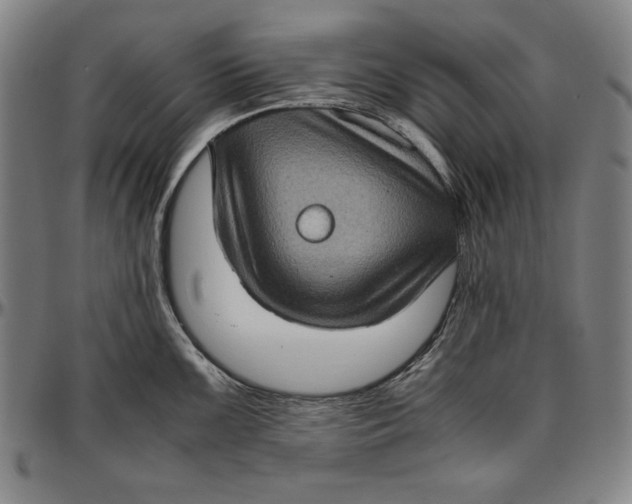 X0000097001099200802291141