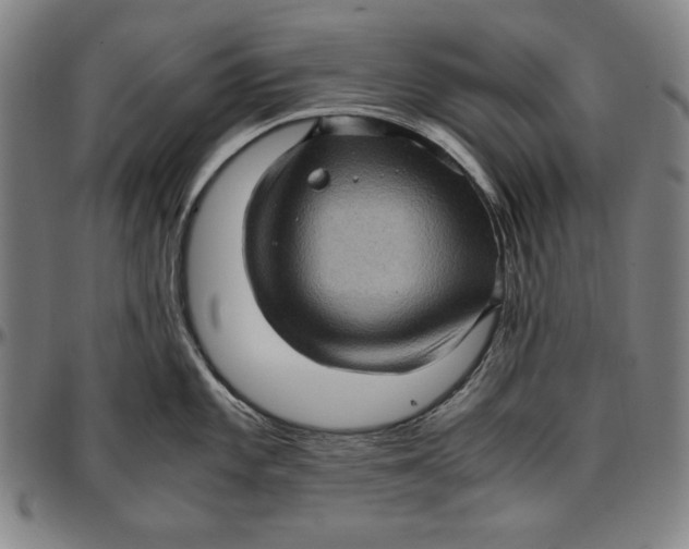 X0000097001101200802291141