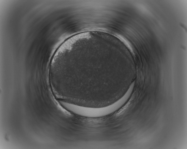 X0000097001102200802291141