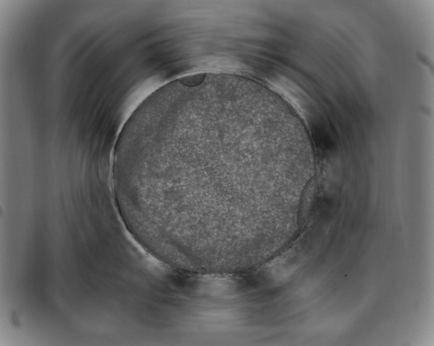 X0000097001103200802291141