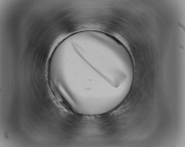 X0000097001104200802291141