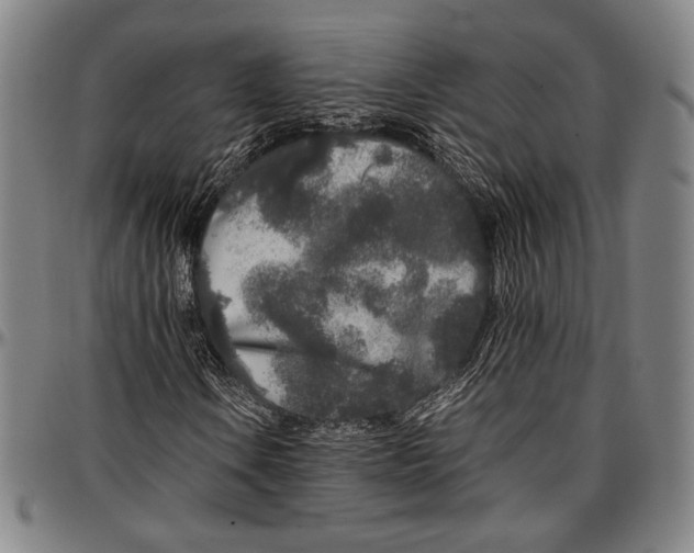 X0000097001106200802291140