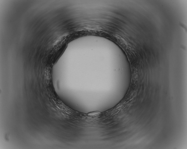 X0000097001110200802291140