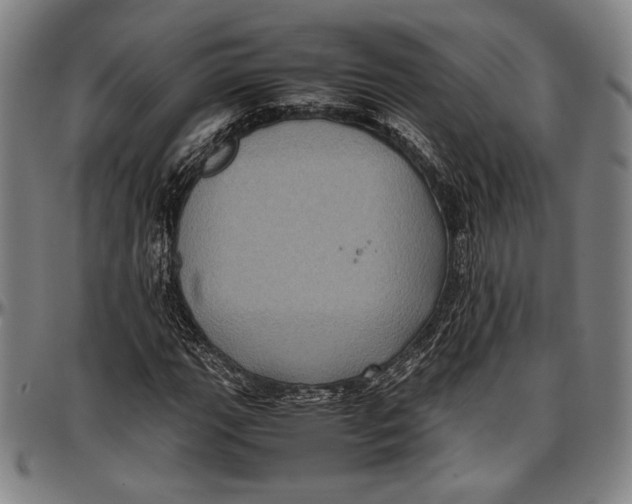 X0000097001111200802291140