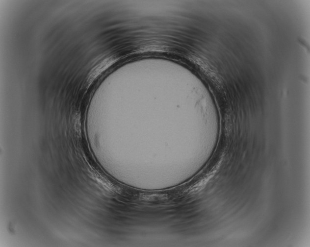 X0000097001113200802291140