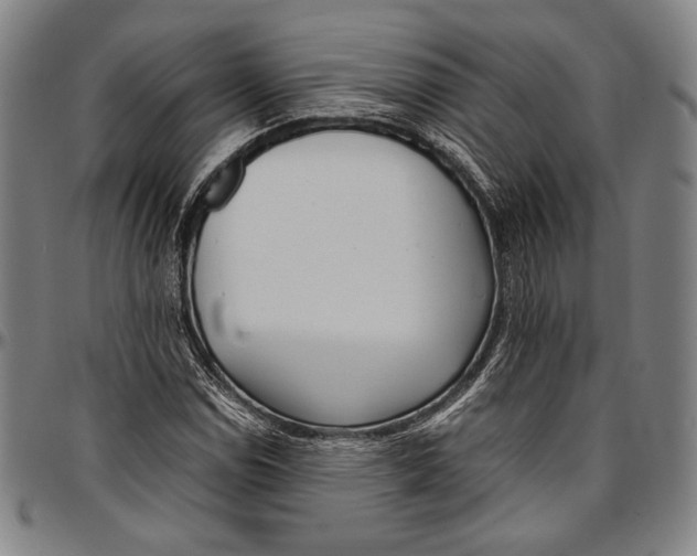 X0000097001114200802291140