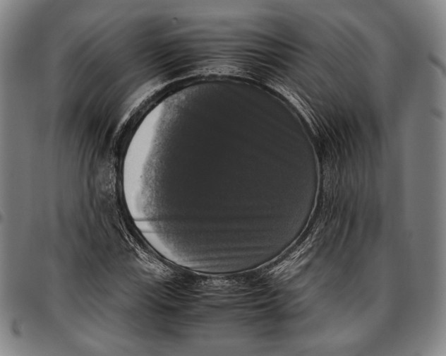 X0000097001115200802291140