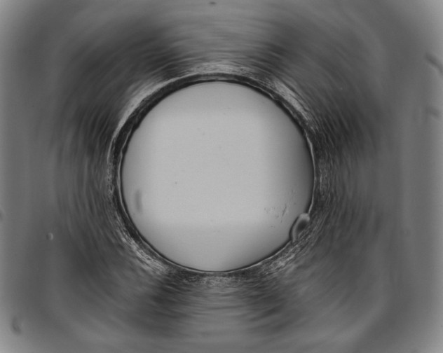 X0000097001116200802291140