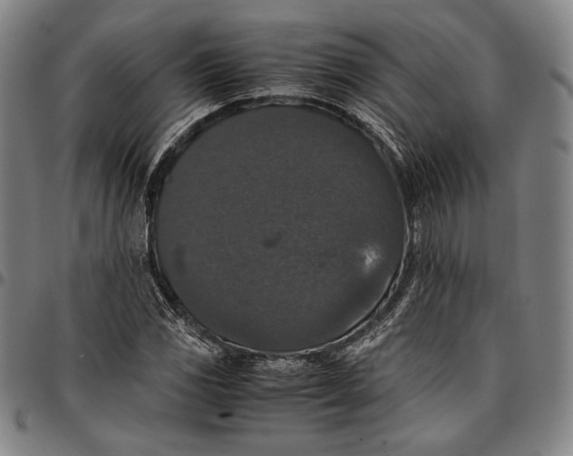 X0000097001117200802291140