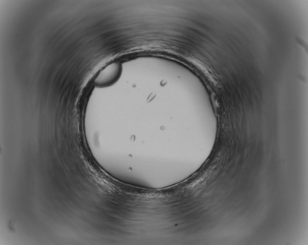 X0000097001118200802291140