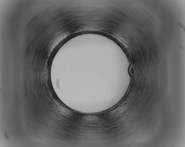 X0000097001119200802291140