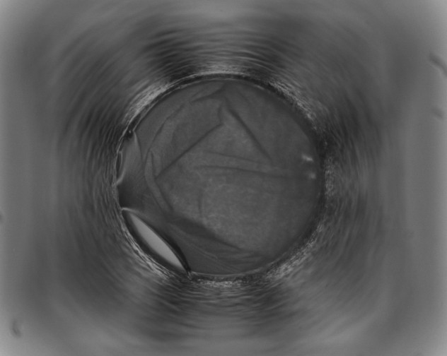 X0000097001121200802291140