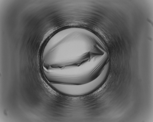 X0000097001122200802291140