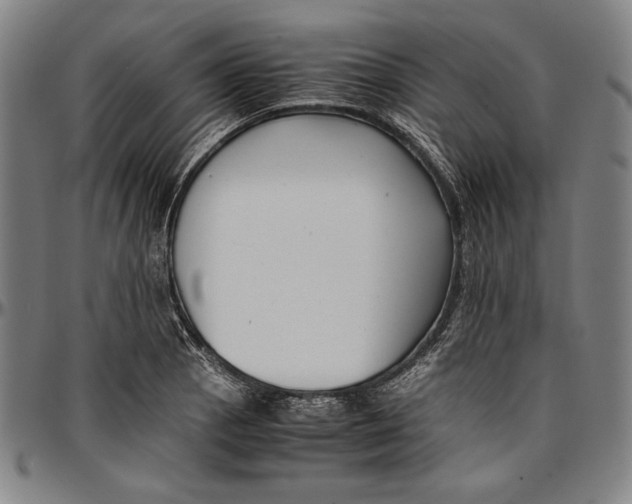 X0000097001129200802291140