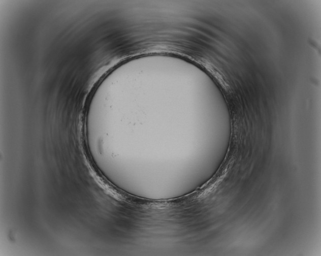 X0000097001134200802291140