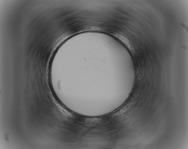 X0000097001135200802291140