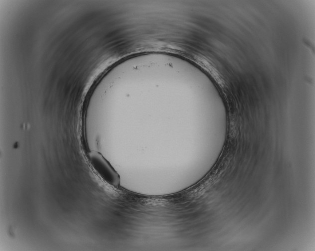 X0000097001136200802291140