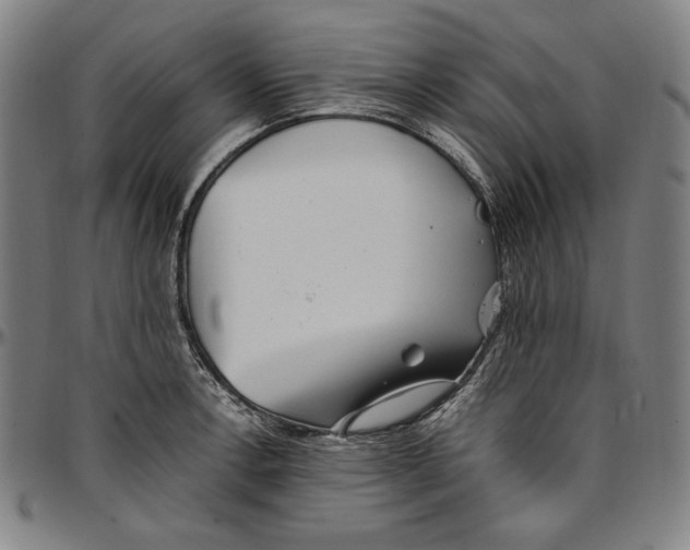 X0000097001138200802291140