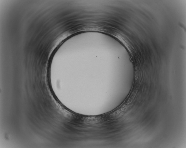 X0000097001139200802291141