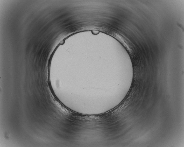 X0000097001140200802291141