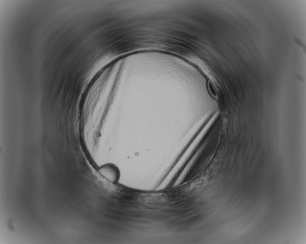 X0000097001143200802291141