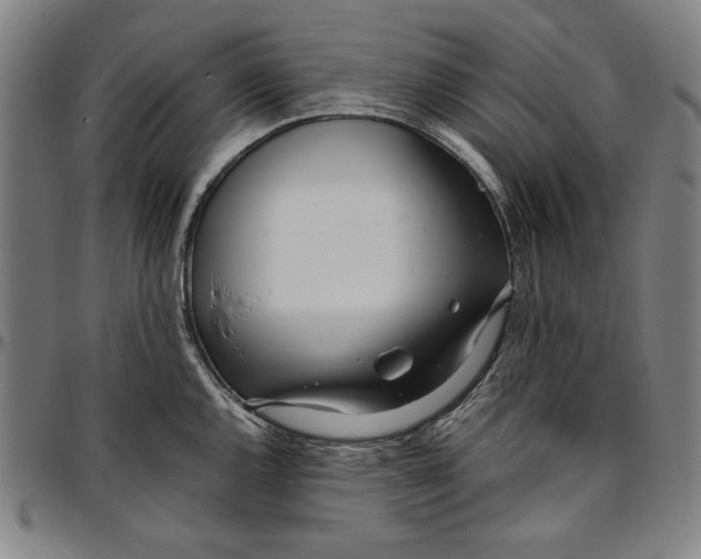 X0000097001144200802291141