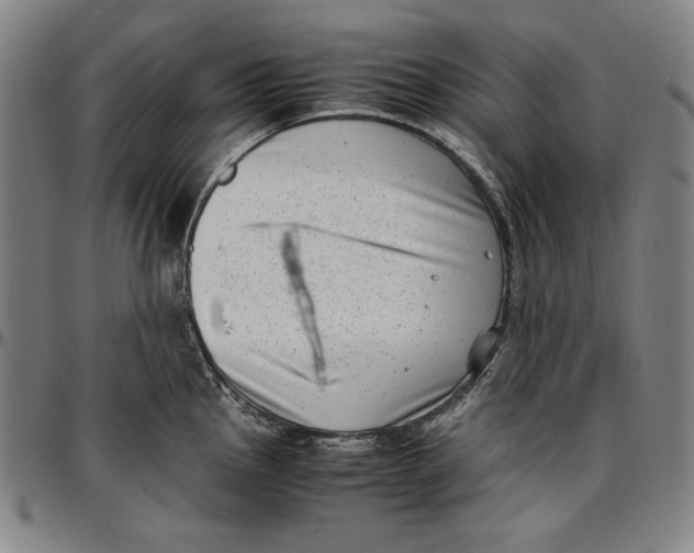 X0000097001145200802291141