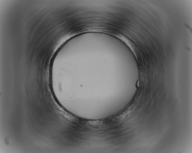 X0000097001147200802291141