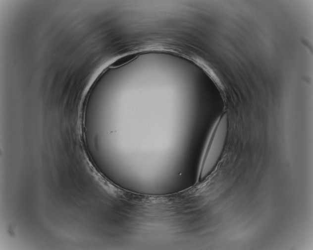 X0000097001148200802291141