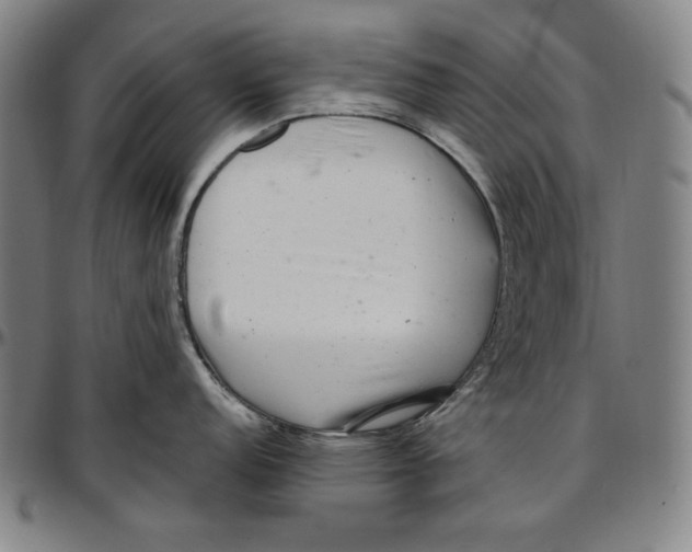 X0000097001152200802291141