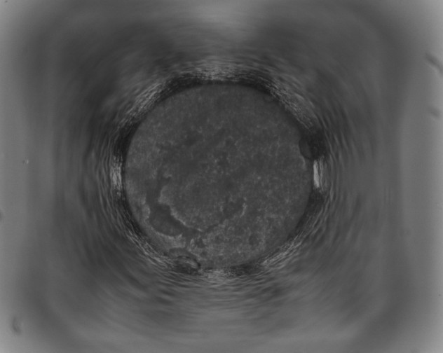 X0000097001155200802291140