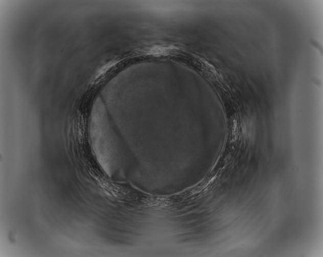 X0000097001158200802291140