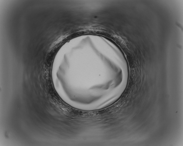 X0000097001159200802291140