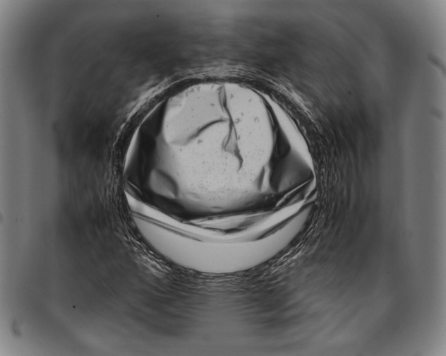 X0000097001160200802291140