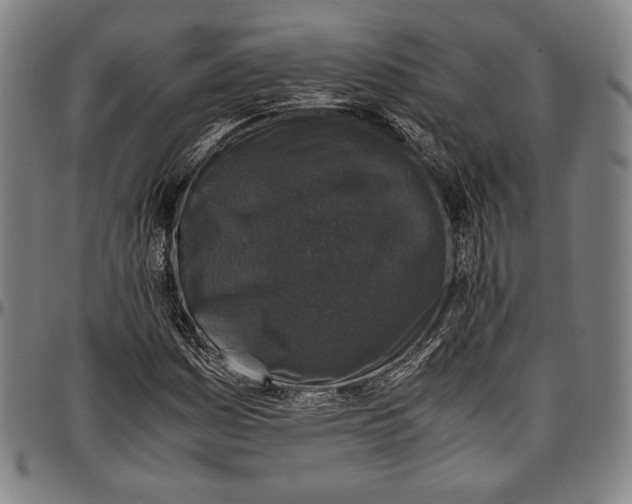 X0000097001161200802291140