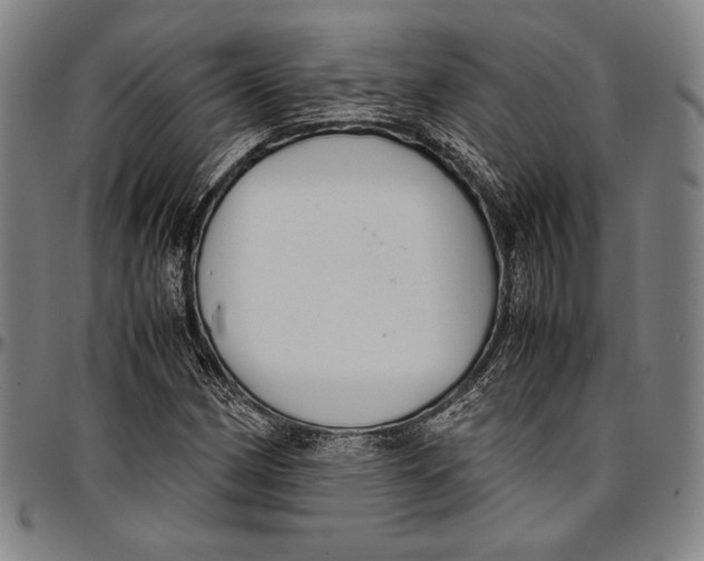 X0000097001162200802291140