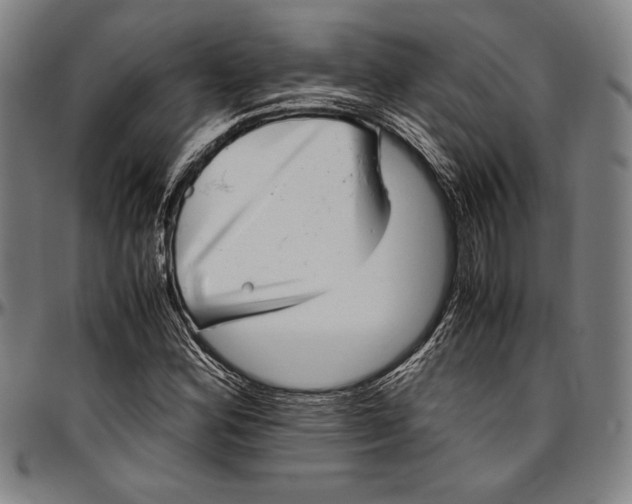 X0000097001164200802291140