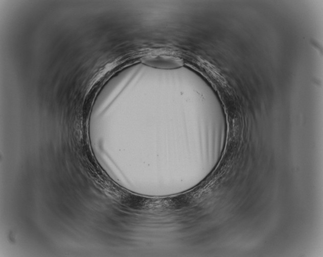 X0000097001165200802291140