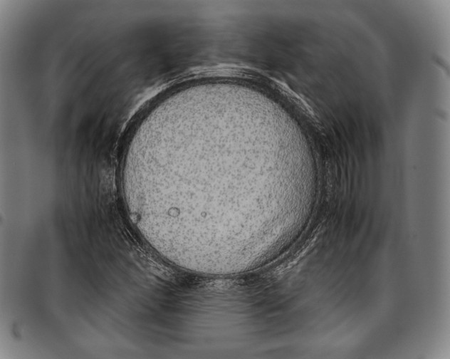 X0000097001166200802291140