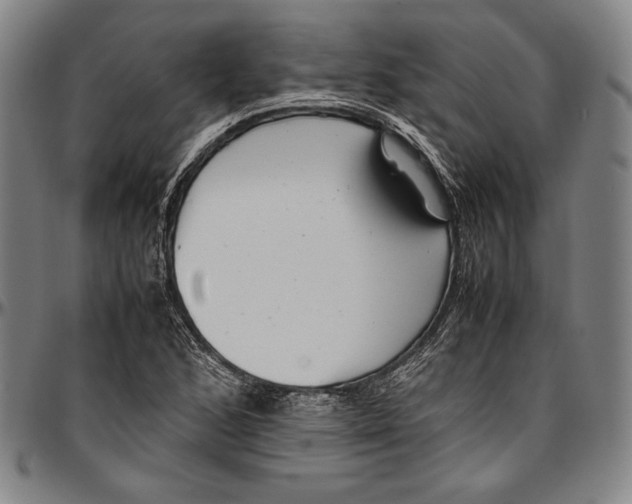 X0000097001168200802291140