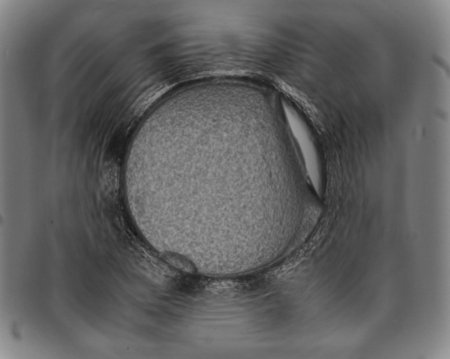 X0000097001169200802291140