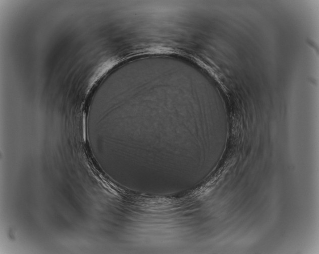 X0000097001171200802291140