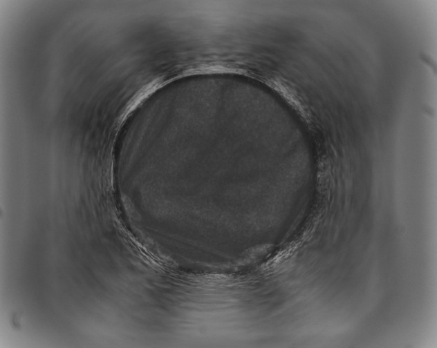 X0000097001173200802291140