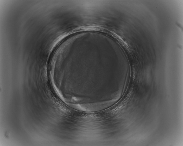 X0000097001174200802291140